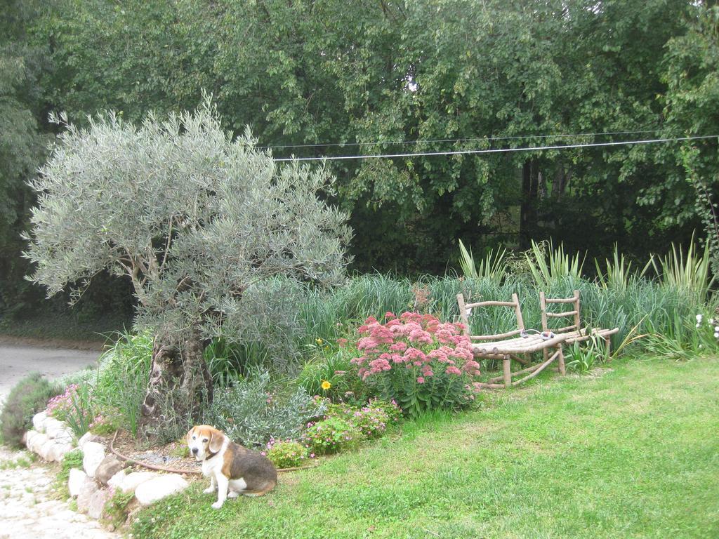 Agriturismo Campagnoletto Cavriana Екстер'єр фото