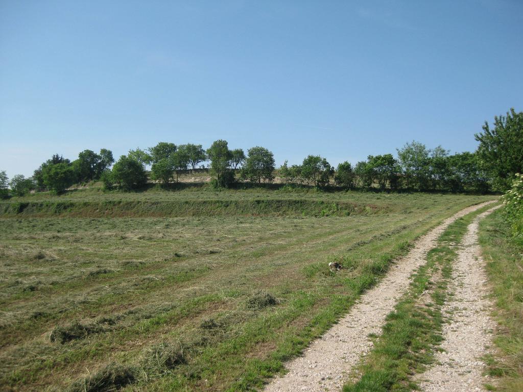 Agriturismo Campagnoletto Cavriana Номер фото