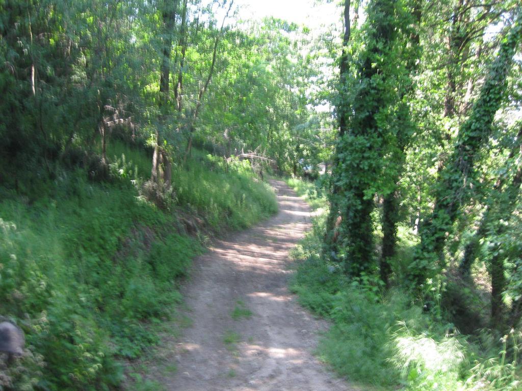 Agriturismo Campagnoletto Cavriana Номер фото