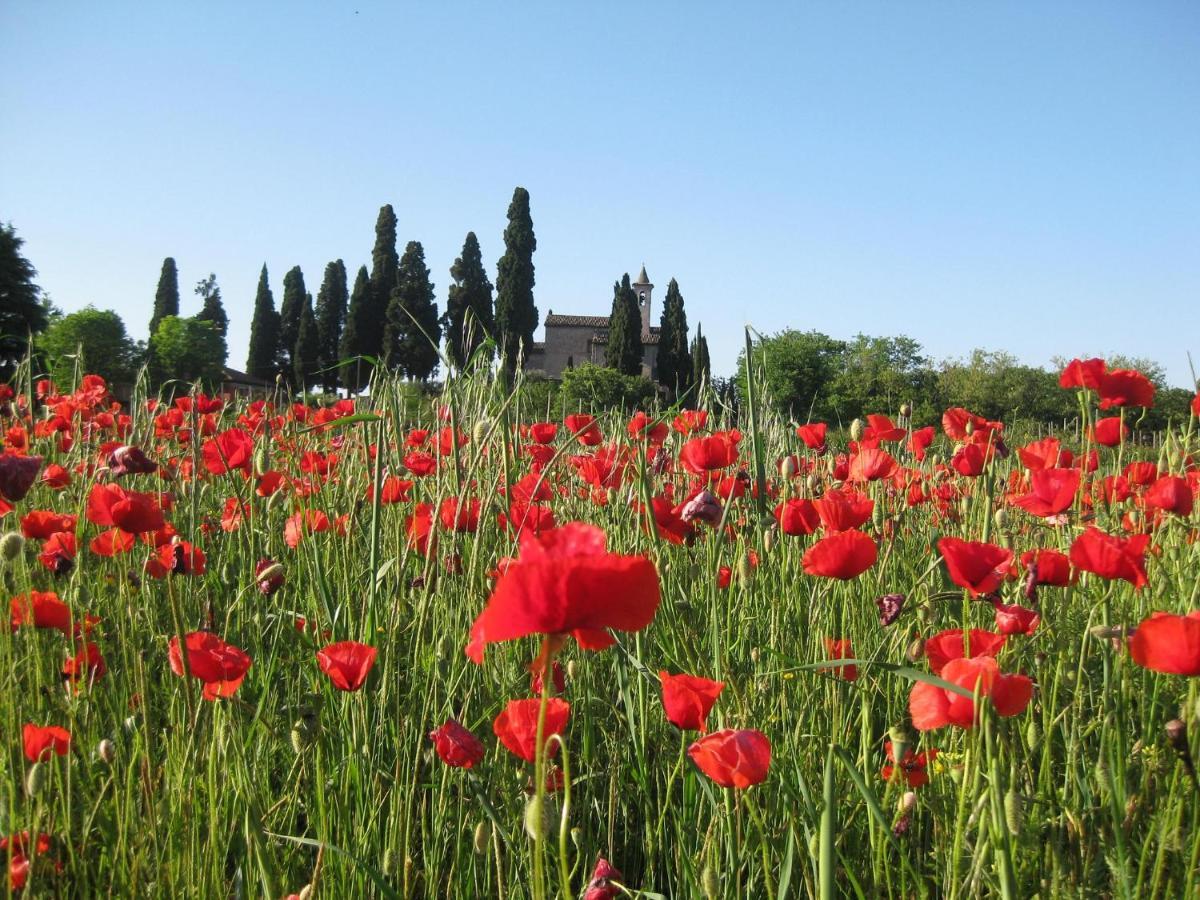 Agriturismo Campagnoletto Cavriana Екстер'єр фото