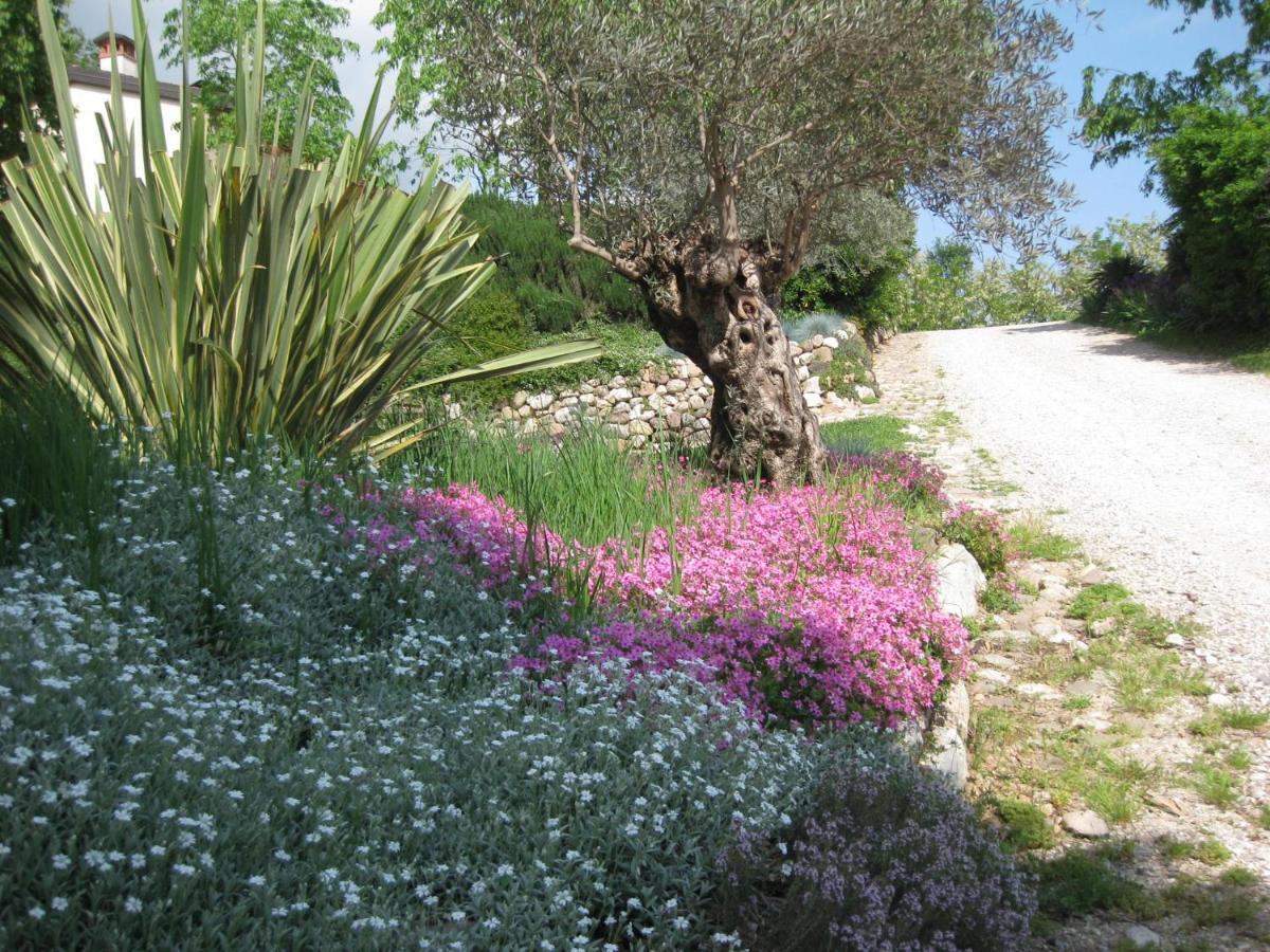 Agriturismo Campagnoletto Cavriana Екстер'єр фото